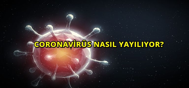 Coronavirüs Nasıl Yayılıyor?