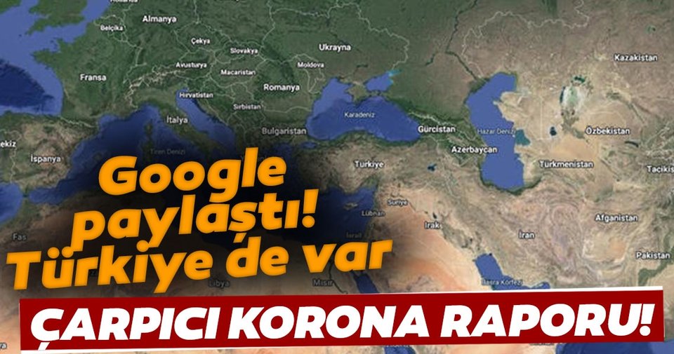 Google’dan Koronavirüs raporu! Türkiye’de Raporun içerisinde