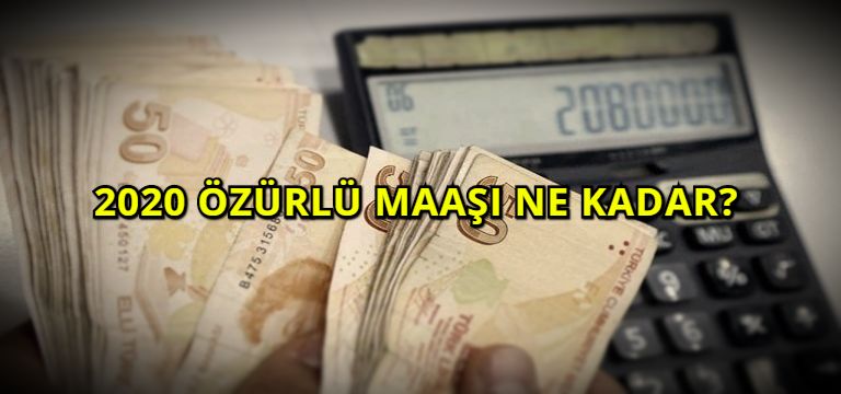 2020 Özürlü Maaşı Ne Kadar?