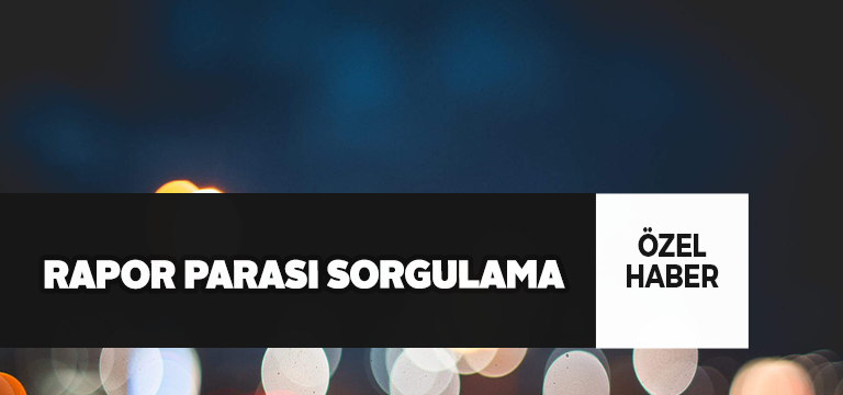 2020 Rapor Parası Sorgulama Nasıl Yapılır?