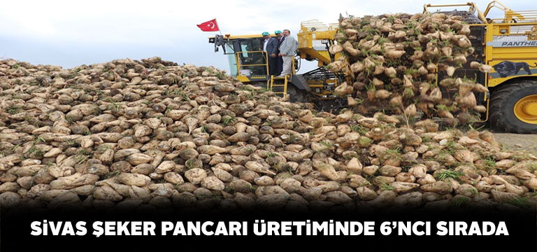 Sivas’ta en fazla şeker pancarı üreten 6. il oldu