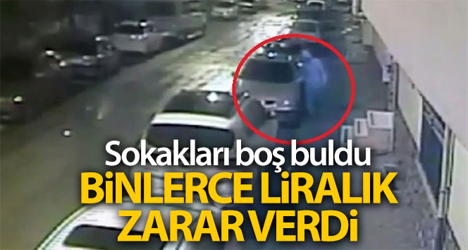 Sokakları boş buldu 15 araca binlerce liralık zarar verdi
