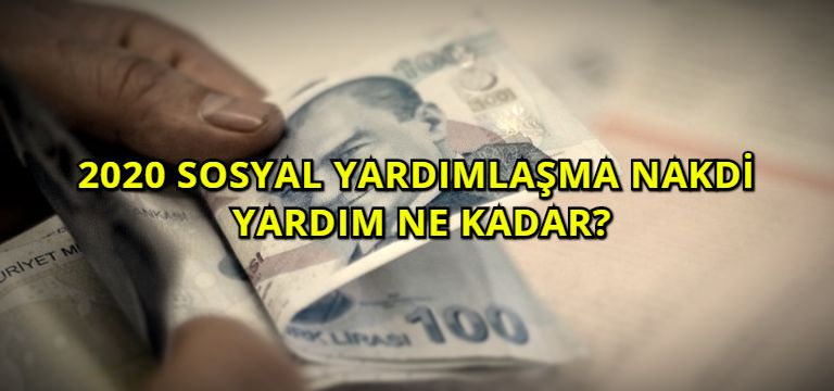 2020 Sosyal Yardımlaşma Nakdi Yardım Ne Kadar?