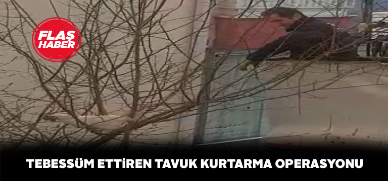 İtfaiye ekipleri mahsur kalan tavuğu kurtardı