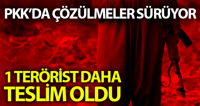 Terör örgütü PKK’da çözülmeler sürüyor: Bir terörist daha teslim oldu