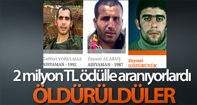 2 milyon TL ödülle aranan teröristler öldürüldü