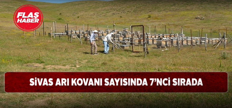 Sivas arıcılıkta öncü şehir olmaya devam ediyor