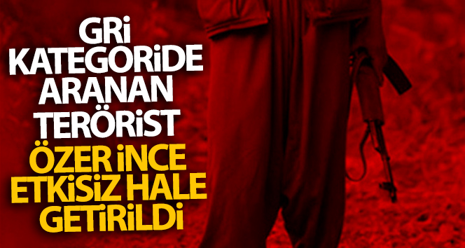 Gri kategoride aranan terörist Özer İnce etkisiz hale getirildi
