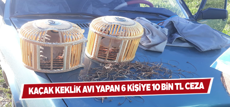 Sivas’ta keklik avcılarına ağır ceza kesildi
