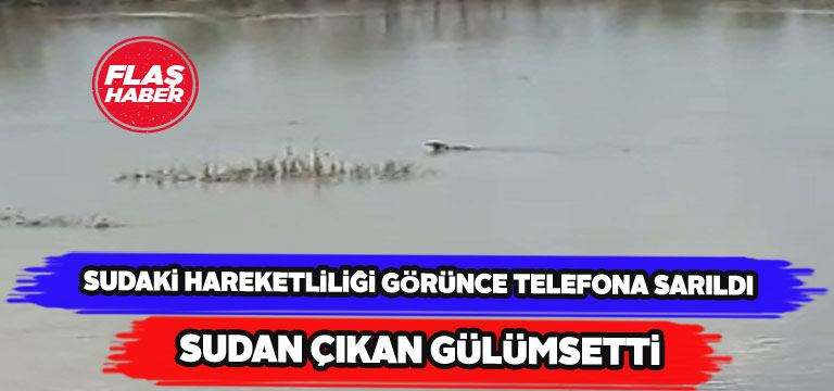 Köpekbalığını anımsatan ırmaktaki köpek güldürdü