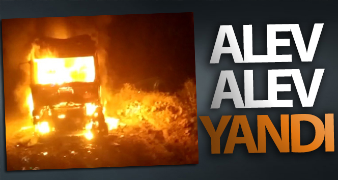 Mardin’de park halindeki tır alev alev yandı