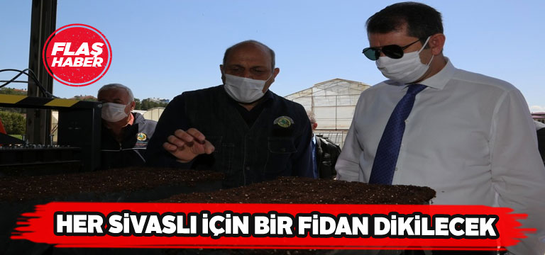 Ekim ayında Sivas’a rekor fidan dikimi yapılacak