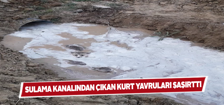 Su kanalı çalışması sırasında yaşanan herkesi şok etti