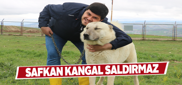 Uzman kangal üreticisi ateş püskürdü