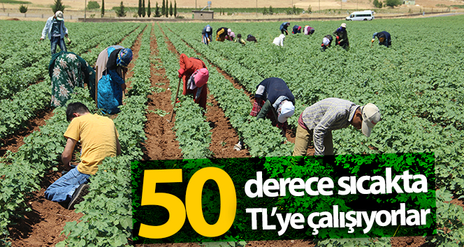 50 derecede 50 derecede çalışıyorlar