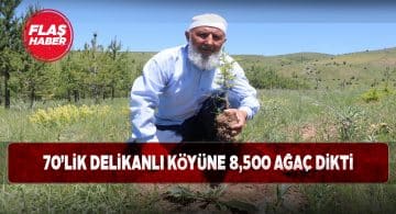 Yaşına aldırış etmeden binlerce ağaç dikimi yaptı