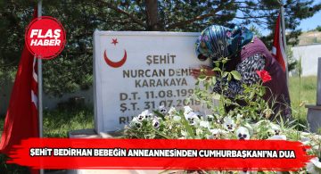 Bebek katilinin öldürülmesi şehit anneannesini ferahlattı