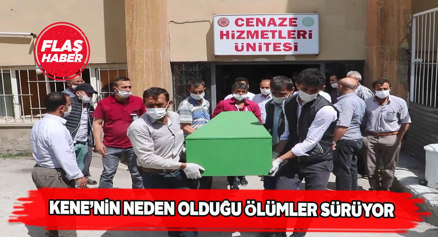 Sivas’ta kene bir can daha aldı