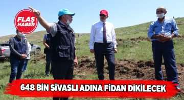 Bostancık köyüne rekor fidan dikimi yapılacak