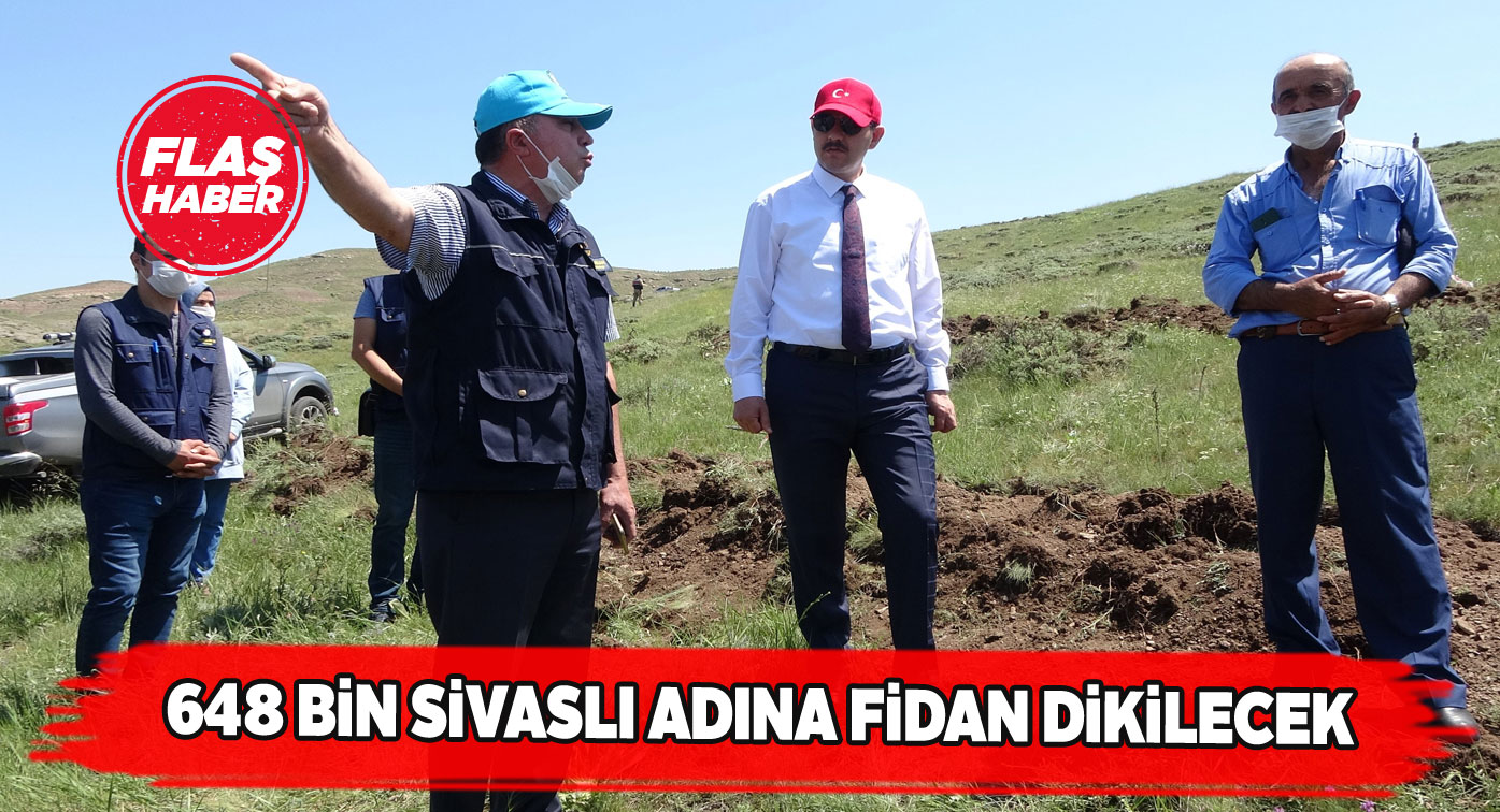 Bostancık köyüne rekor fidan dikimi yapılacak