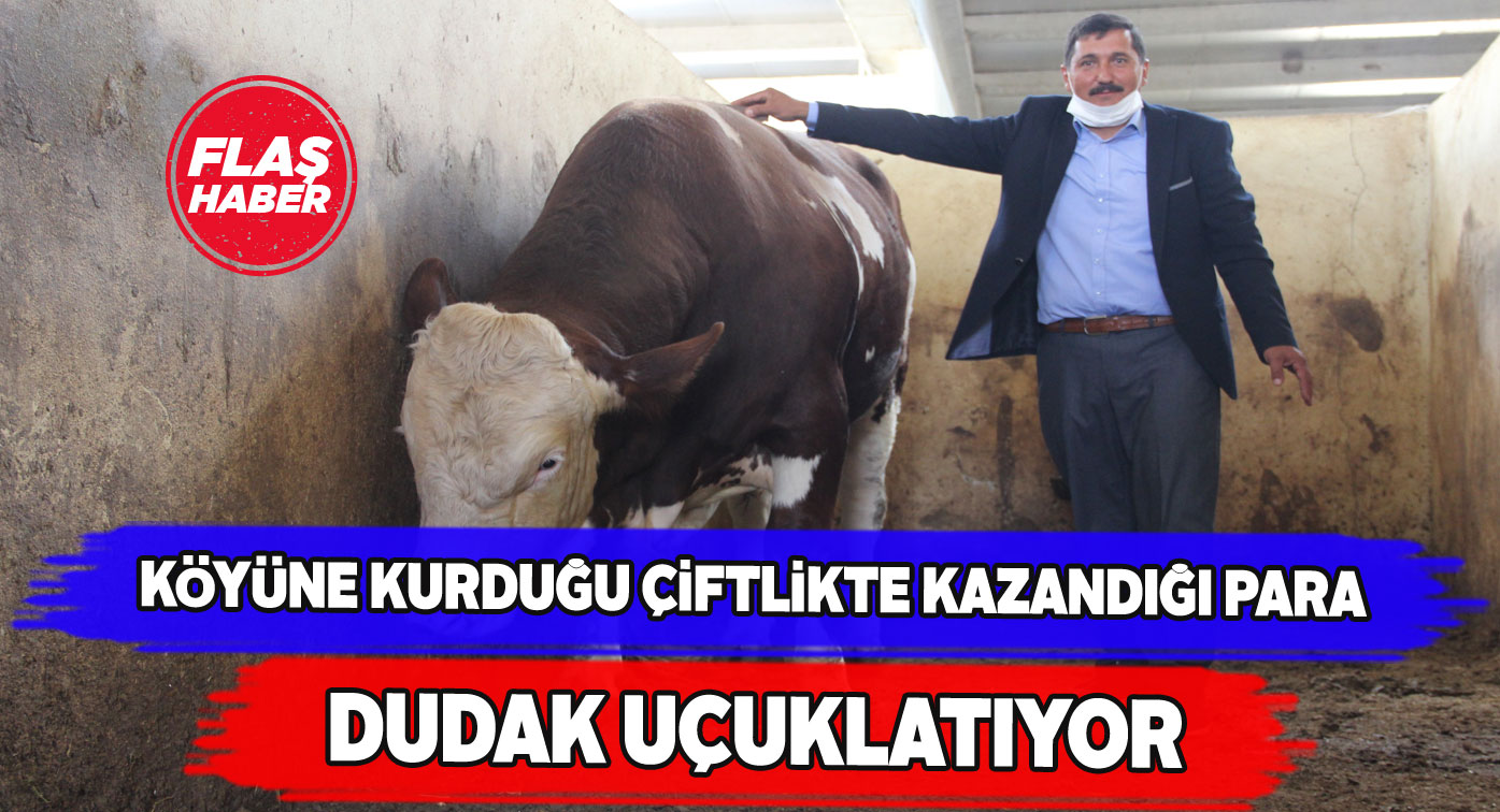 Sivaslı vatandaş çiftlikten aylık 50 bin lira kazanıyor