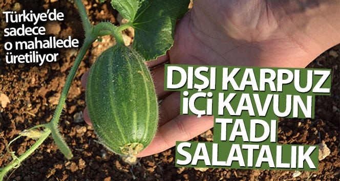 Dışarıda karpuz gibi, kavun içinde, salatalık gibi tat