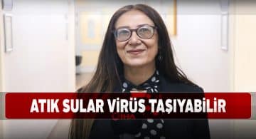 Pandemi sürecinde doğa kendini yeniledi