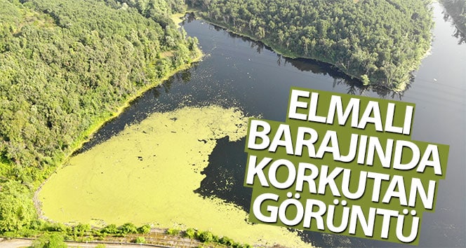 Elmalı Barajı’nda korkunç görüntü