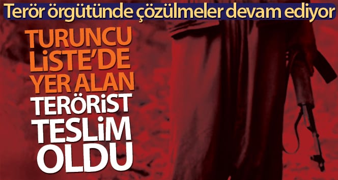 Emniyet’in ikna çalışmasıyla Turuncu Liste’de yer alan 1 terörist teslim oldu