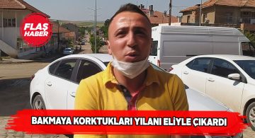 Gemerekli gencin cesareti herkesi hayrete düşürdü