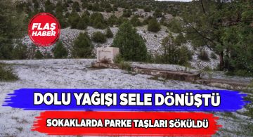 Haziran ayının sonunda Gölova’yı sel götürdü