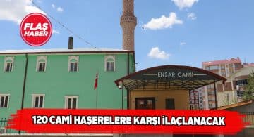 Sivas’taki 120 cami haşerelerden arındırılacak