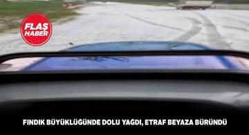 Hıdırnalı köyü doluya teslim oldu