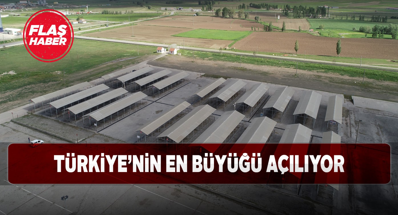Şarkışla’daki Canlı Hayvan Pazarı yeniden hizmete girecek