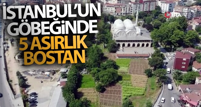 İstanbul’un kalbinde 5. yüzyıldan kalma bahçe