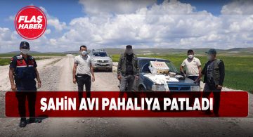 Şarkışla’da kaçak avcılar yaptığına pişman oldu