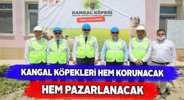 Kangal üretim ve eğitim merkezinin yapımına başlandı