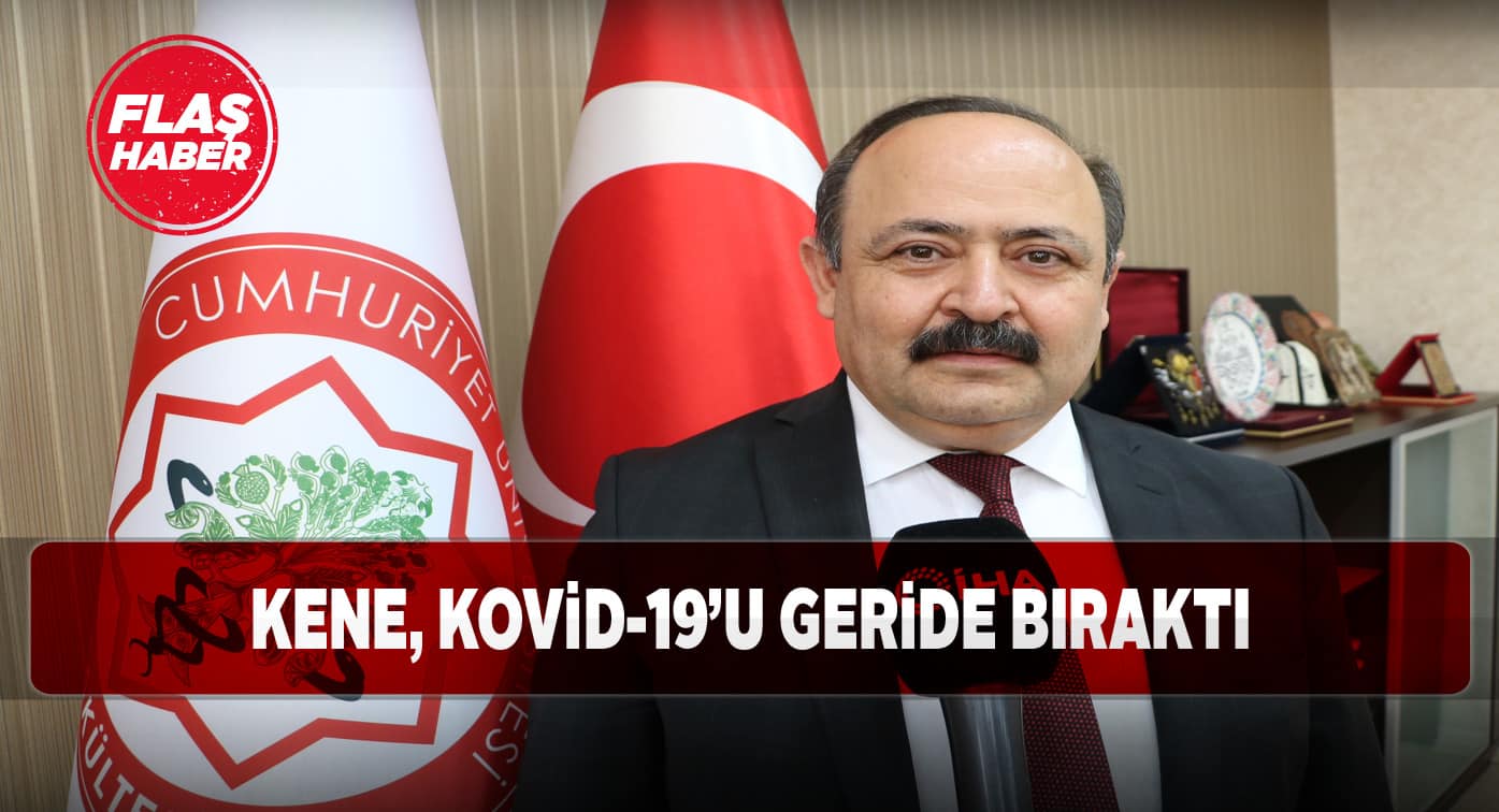 Sivas’ta kene ısırması vakaları artış gösterdi