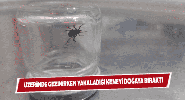 Hem keneyi doğaya saldı, hem de vatandaşları uyardı