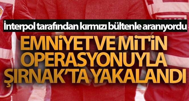 Kırmızı bültenle arandı! Polis ve MİT operasyonu ile Şırnak’ta yakalandı