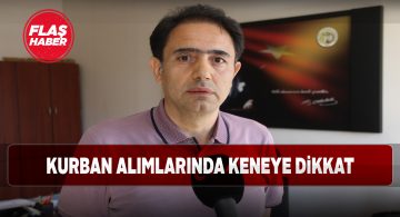 Kurban bayramı öncesinde kritik kene uyarısı