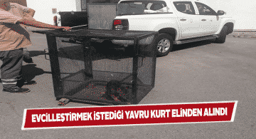 Hayvan sevgisine mevzuat izin vermedi