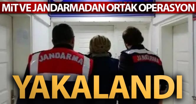 MİT ve jandarmanın ortak operasyonu ile yakalandı