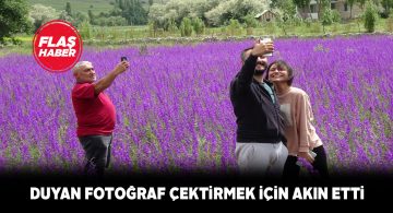 Çayboyu mahallesindeki mor şenliğe vatandaşlar akın etti