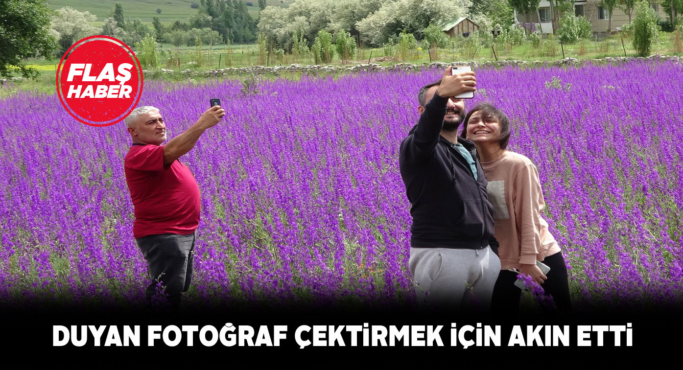 Çayboyu mahallesindeki mor şenliğe vatandaşlar akın etti