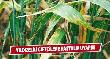 Nohut ve buğdayların ilaçlanması konusunda çiftçilere uyarı