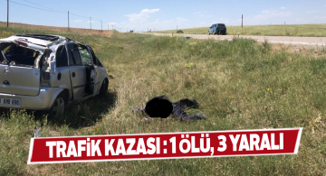 Gürün’de ölümlü trafik kazası!