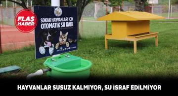 Sivas’ta birçok noktaya otomatik su kabı yerleştirildi