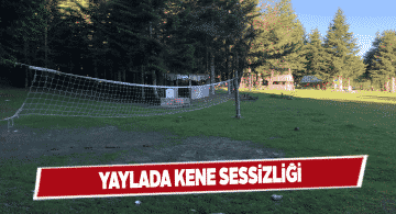 Oymalık Tabiat Parkı’nda in cin top oynuyor