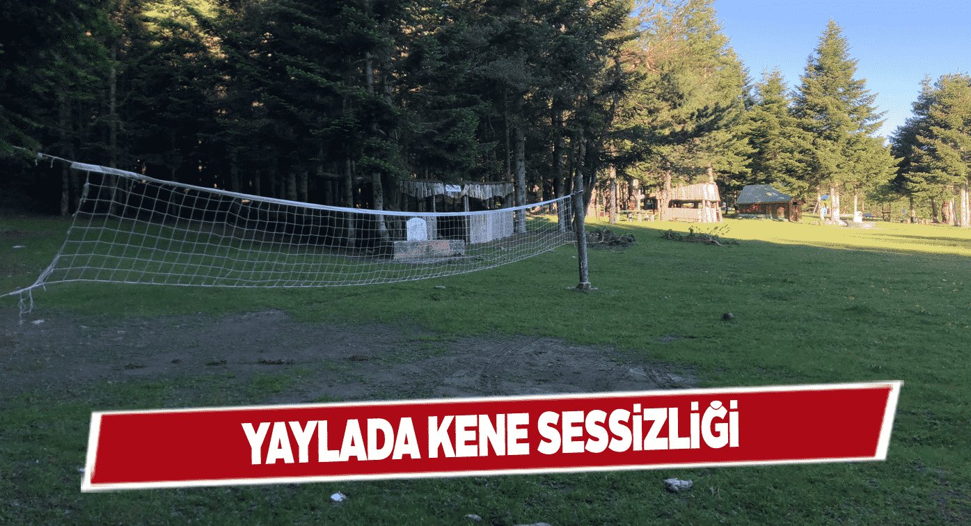 Oymalık Tabiat Parkı’nda in cin top oynuyor